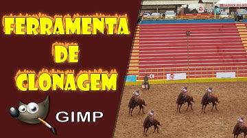 How to Use the Cloning Tool in GIMP