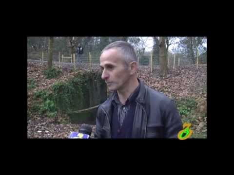 პროექტი – \"ბუნებასთან ერთად\"