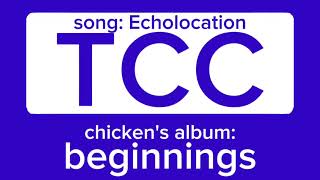 Echolocation