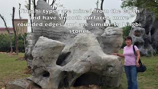 VSANA Ying Stone Video