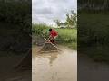 Amazing Low water fishing video