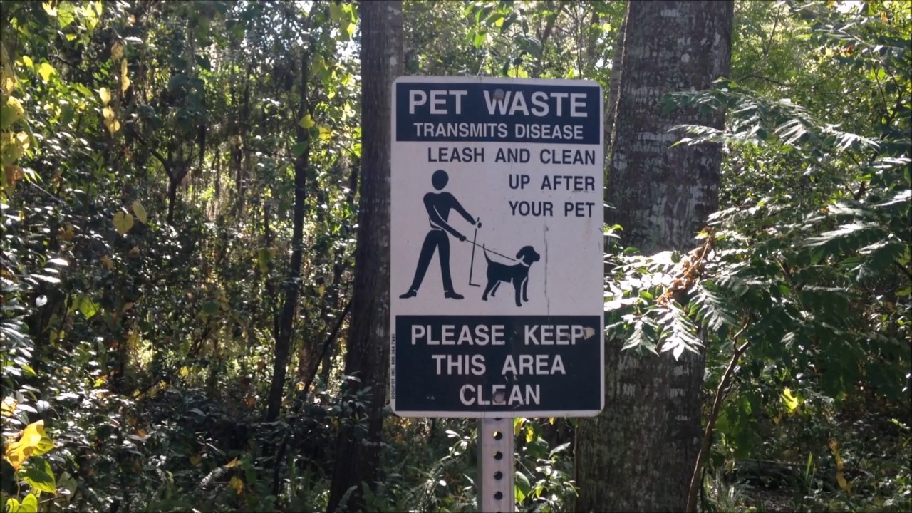 Maitland Community Park Orlando,Fl Short Tour