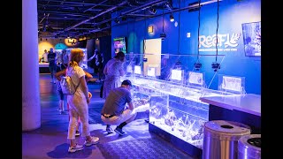 World Ocean Day 2024: Presented by the Miami DDA | June 8, 2024