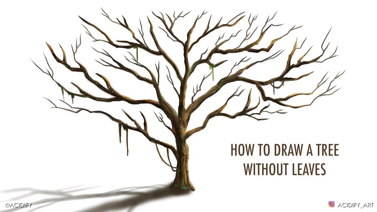 how to draw a tree without leaves