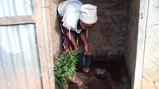 African Village Life Cleaning Pit Latrine Using Lantana Ash