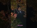 동부리에서/In Dongbu-ri #shorts 봄 풍경/Spring scenery #윤드림 /Yoon Dream