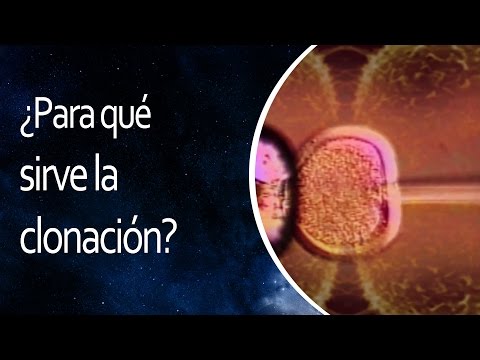 What is cloning used for? 💡 The Universe in 1 Minute