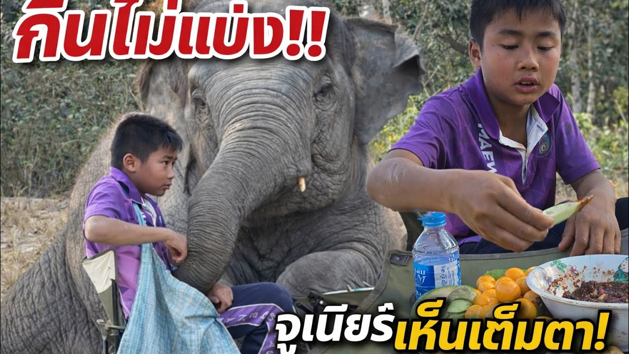  ดราม่าจริง! จูเนียร์เห็นเต็มตา พี่บ๊อบกินคนเดียว![ Real Drama! Junior Saw Everything 😱 