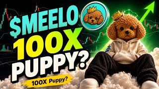 $MEELO The Poodle That Got Banned Twice And Still Made It On Solana!