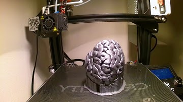 3D printed brain timelapse