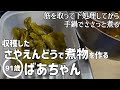 【料理】収穫したさやえんどうで煮物を作る91歳のばあちゃん【田舎暮らし】【vlog】