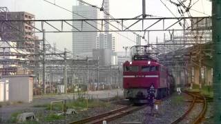 【JR貨】5781ﾚ EF81-96 大宮