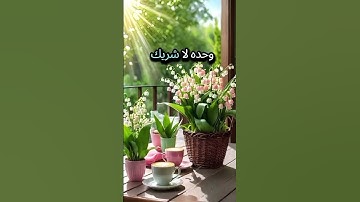 أصبحنا وأصبح الملك لله والحمد لله #الحمدلله #اذكار_الصباح #اكسبلور #المصحف #لايك