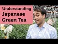 Understanding Japanese Green Tea. JAPAN TRIP