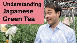 Understanding Japanese Green Tea. JAPAN TRIP