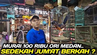 Download Lagu BUSYET MAS MANTO MAKIN PARAH MURAI TROTOL CUMA 100 RIBU APA GA PANAS SATU PRAMUKA.. MP3