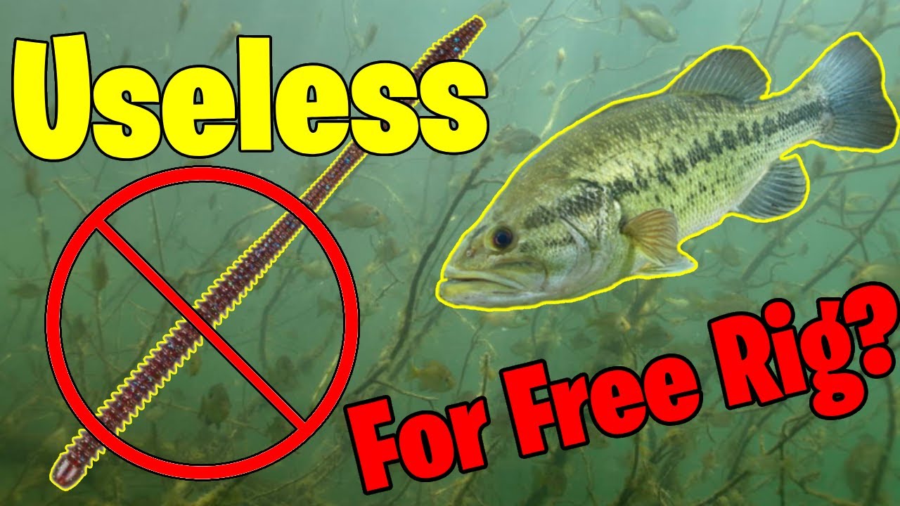Are Worms Useless For Free Rig Bass Fishing?