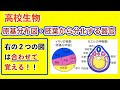 高校生物「原基分布図・胚葉から分化する器官」