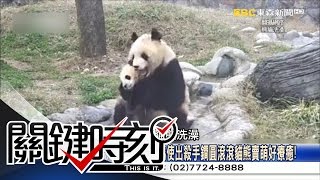 關鍵時刻 20160512 節目播出版(有字幕)