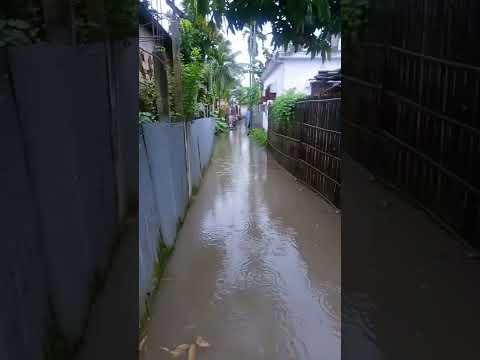 our new swimming pool in lslampur 1no word ,West Bengal