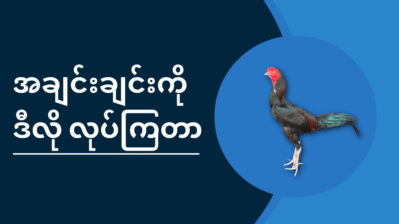 ကိုယ့်လူ သူ့ဖက်သားဆိုတာ ဒီလိုမျိုးလား ?