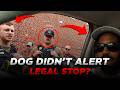 Stopped by Police? Why This K-9 Search Was a Violation