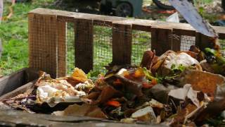 The Compost Pedallers (2016)