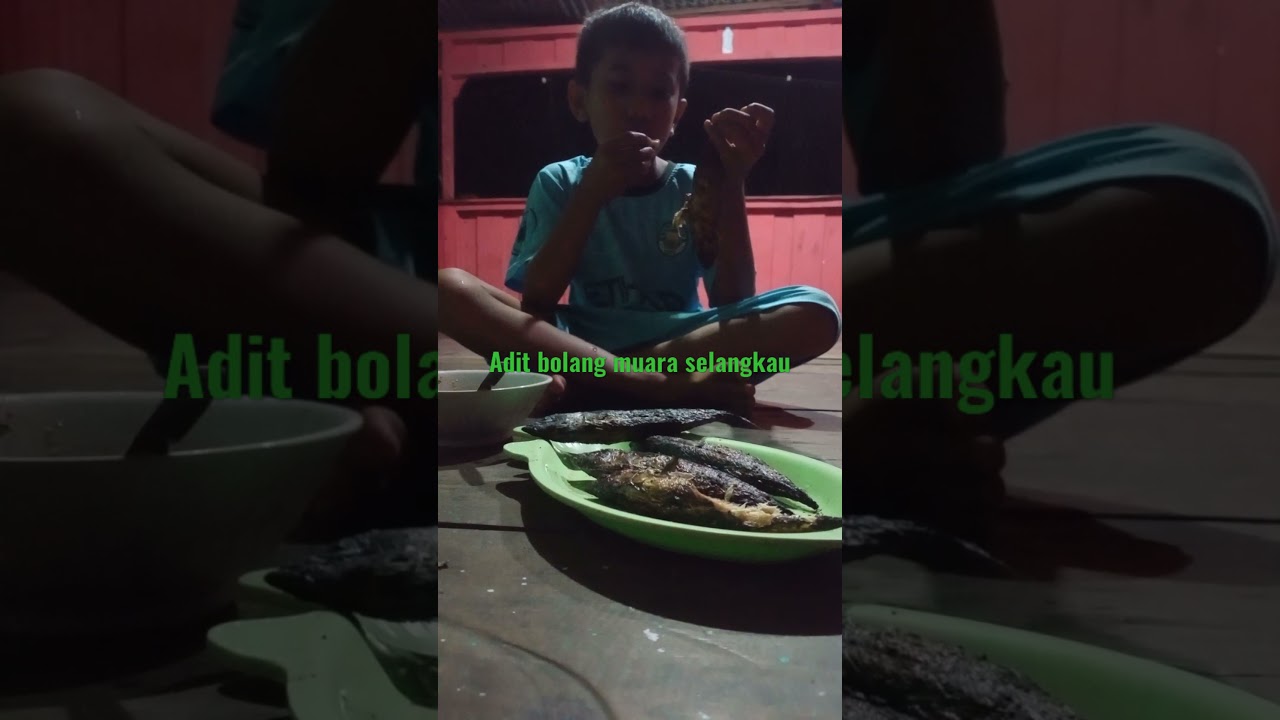 Adit||bolang muara selangkau.