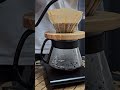 V60 - Colombia Finca Los Alpes 珈琲