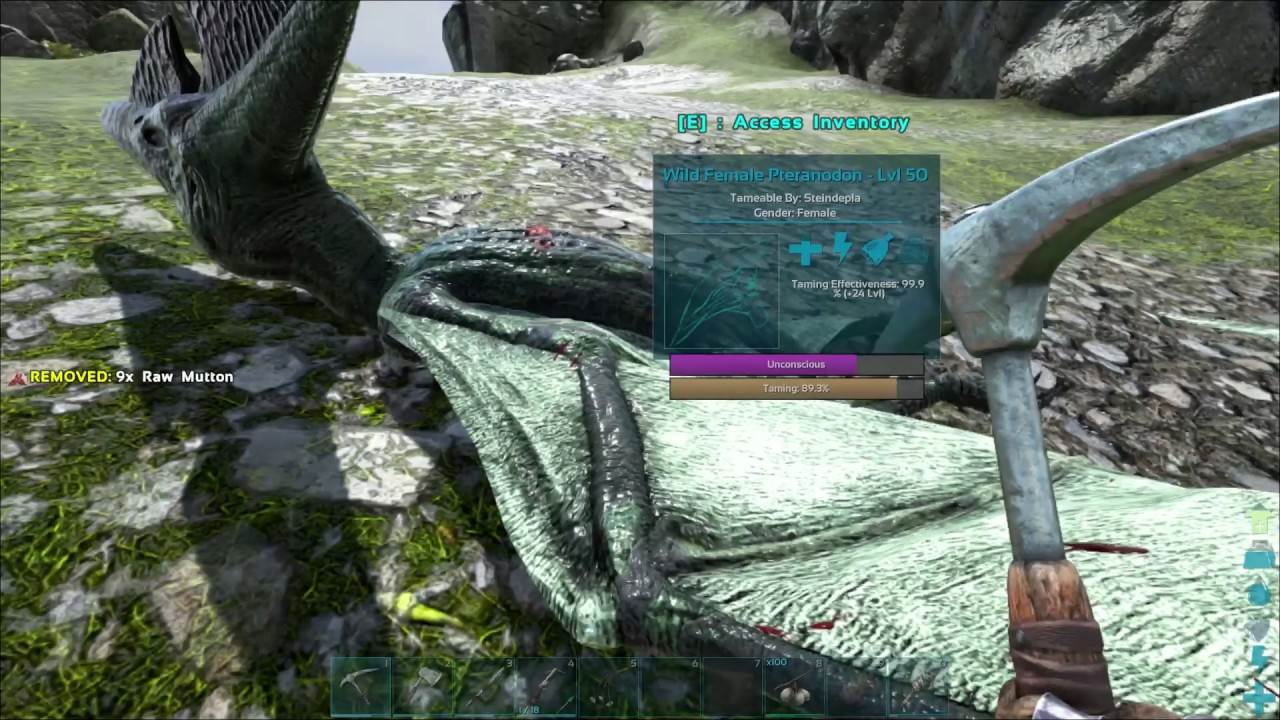 What is Raw Mutton good for ? ARK Ragnarok YouTube