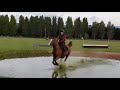 Avonbrook odins first time cross country schooling since june