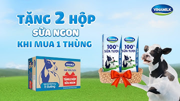 MUA 1 TẶNG 2, CHỌN SỮA TƯƠI VINAMILK 100% LÀ KHÔNG SAI