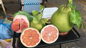 Bưởi Ruby(bưởi Hồng Ngọc) món quà giá trị vào dịp Xuân về- 0919705120