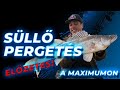 Süllő pergetés a maximumon - TRAILER