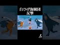 【MAD】ワンピース×白ひげ海賊団反撃 #かくれんぼ #alia #ワンピース #onepiece #白ひげ #マルコ #ダイヤモンドジョズ #エース #おでん
