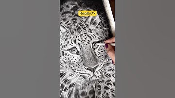 Final Result: Charcoal Leopard Drawing|| Hyper realistic || #shorts #ytshorts #leopard #drawing