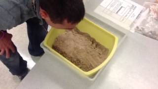 Station 1 - Wind Erosion