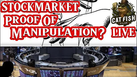 Stock Market Manipulation Proof? Learn From 25 Years Trading Experience.  Catfish Tyler