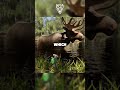 Hela #gaming #coopgaming #couplegames #hela