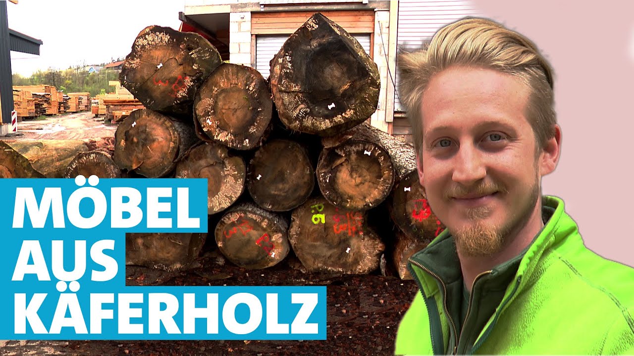 VLOG52: Dachlatten aus trockenem Holz sägen mit der Woodmizer LT 15 Classic