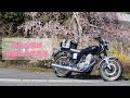 【SR400】大阪市から奈良の山麓線と和歌山の広域農道を通って泉南まで200km春のツーリング！