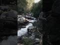 💚  #nature #naturelovers #river #intothewoods