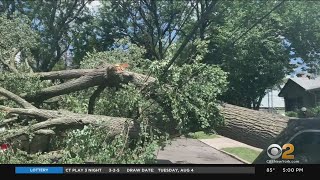 Clean-Up From Tropical Storm Isaias Begins In Westchester County