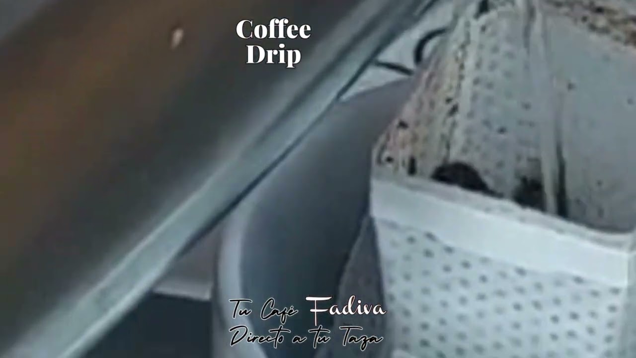Coffee Drip Fadiva Tarrazú