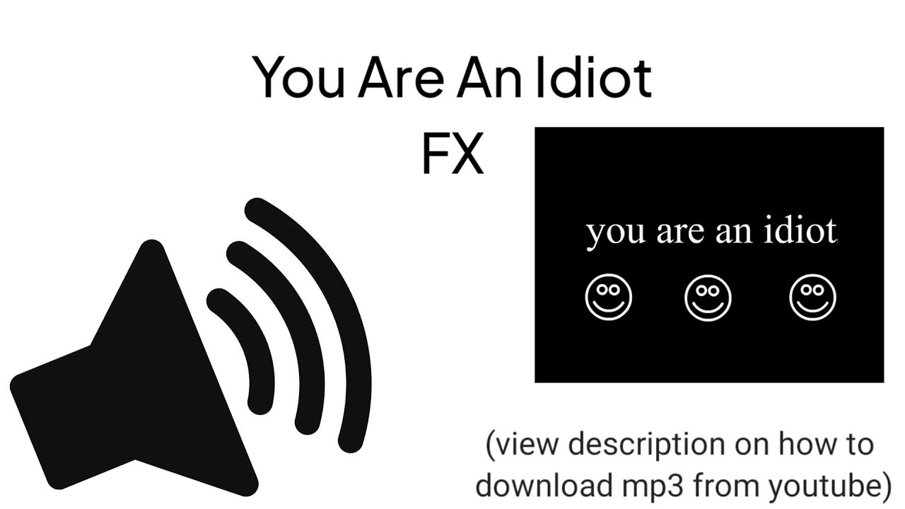 HD - You are An Idiot Sound Effect 