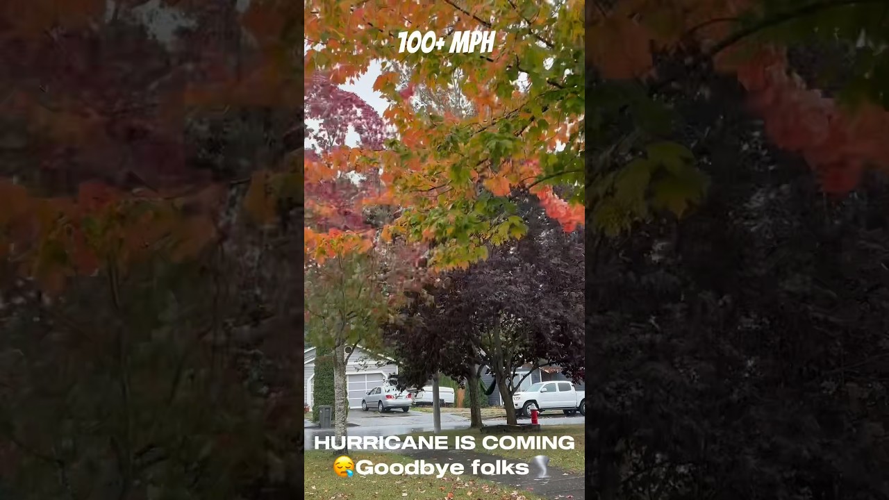 🌪️CHASING A HURRICANE⛈️