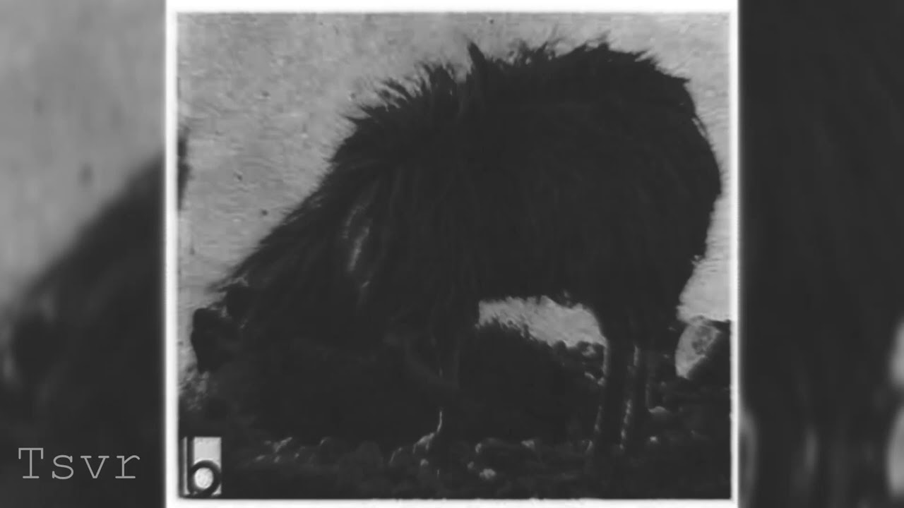 FREE FOR PROFIT "Kamar Dard" | Santos Santana x Luga type beat