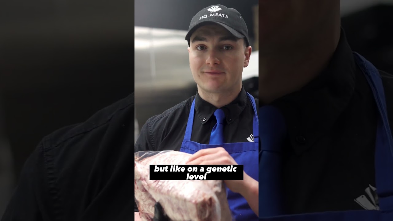 Japanese Wagyu’s INSANE marbling explained!!