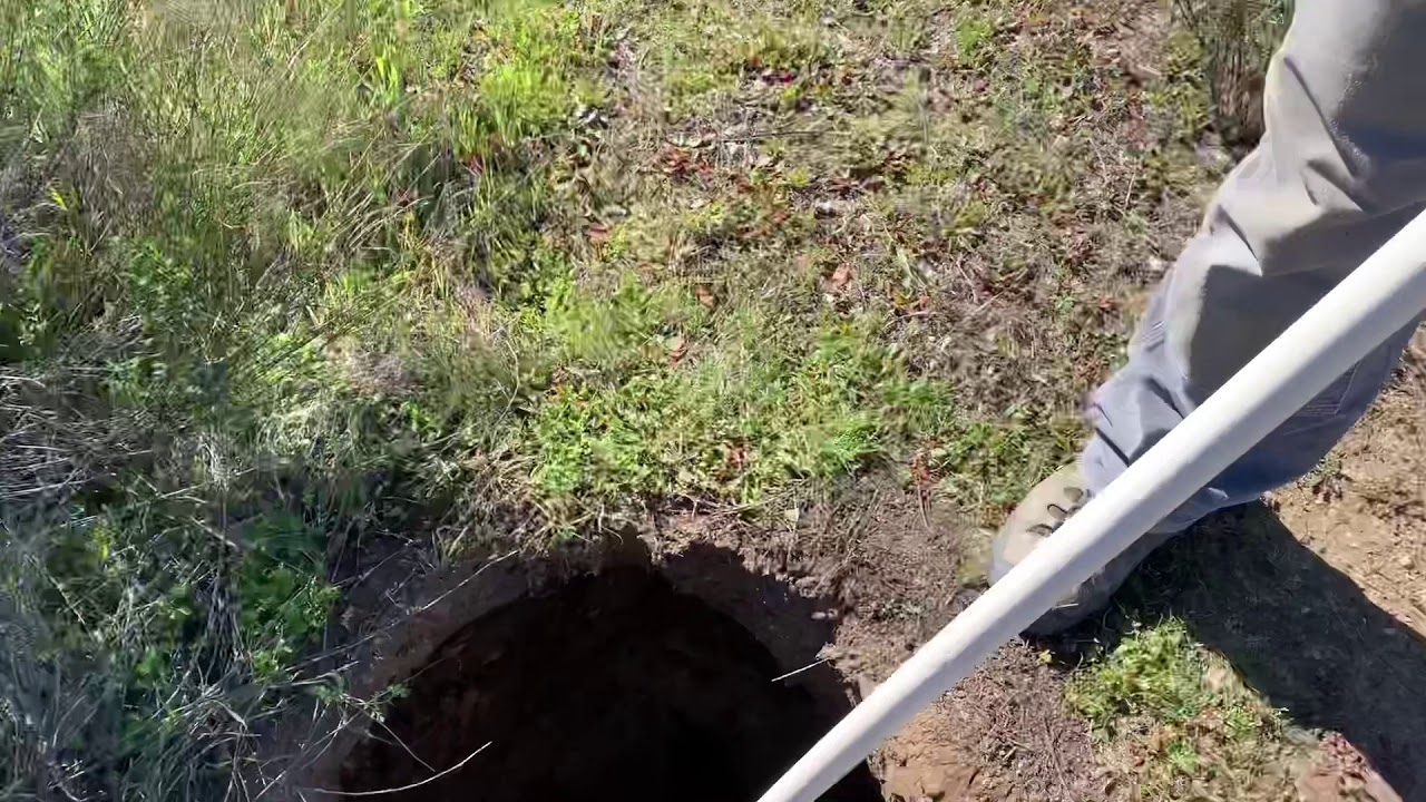 pollock Beau Pollock & Del Mar king snake rescue in Topanga Canyon from a geo test hole