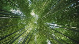 Crucial role of finance and investment in accelerating to net zero